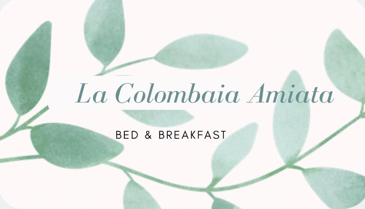 阿尔奇多索La Colombaia Amiata住宿加早餐旅馆 外观 照片